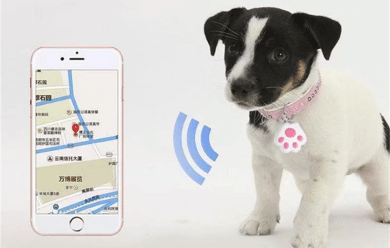 Rastreo en Vivo: Libertad y Seguridad