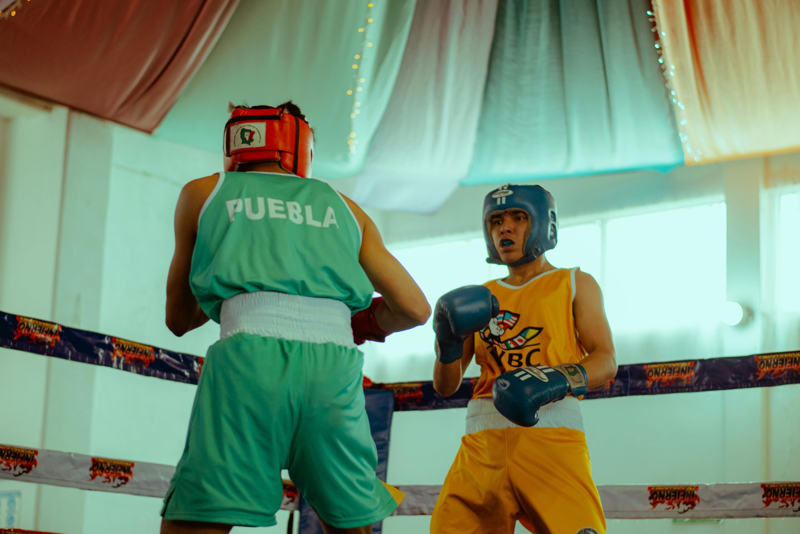 Boxeo en Vivo: Tu Adrenalina