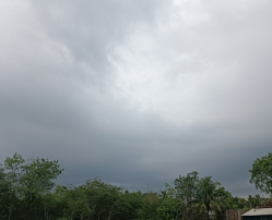 Stay Ahead of Storms with Advanced Weather Apps