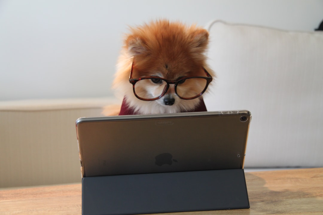 Learn How to Care for Pets Online: Essential Tips