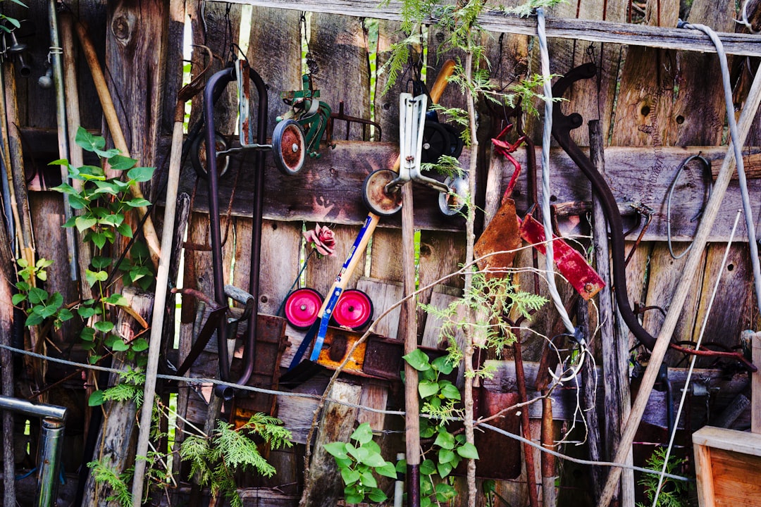 Learn Gardening Online: Grow Skills from Home Quickly