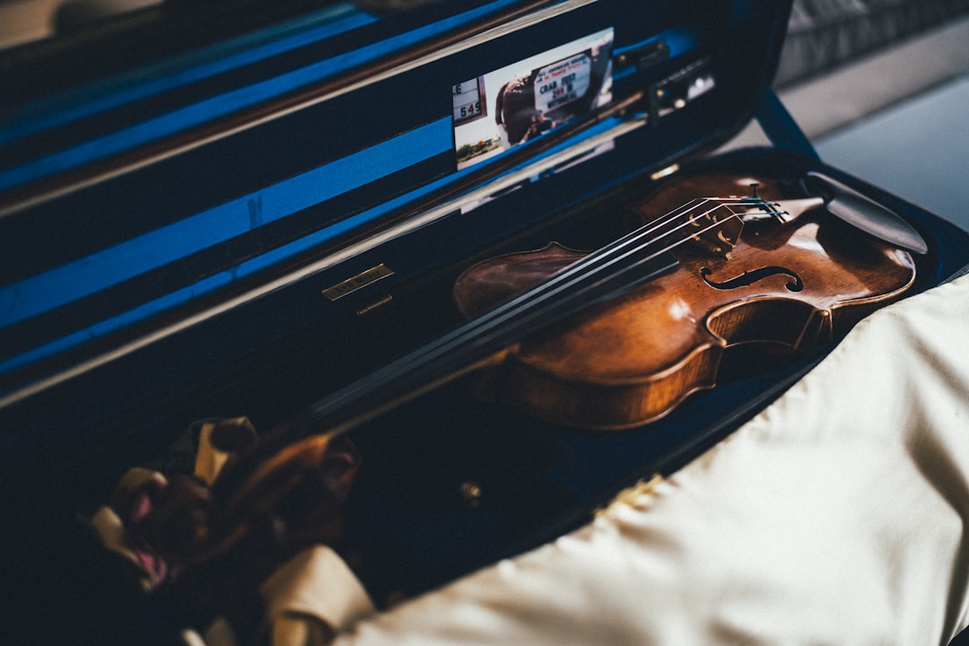 Learn to Play Violin Online: Fast, Effective Lessons