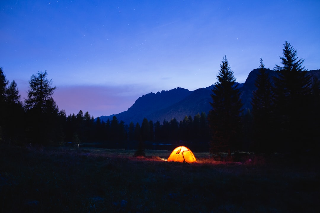 Learn Essential Camping Techniques with Online Instruction