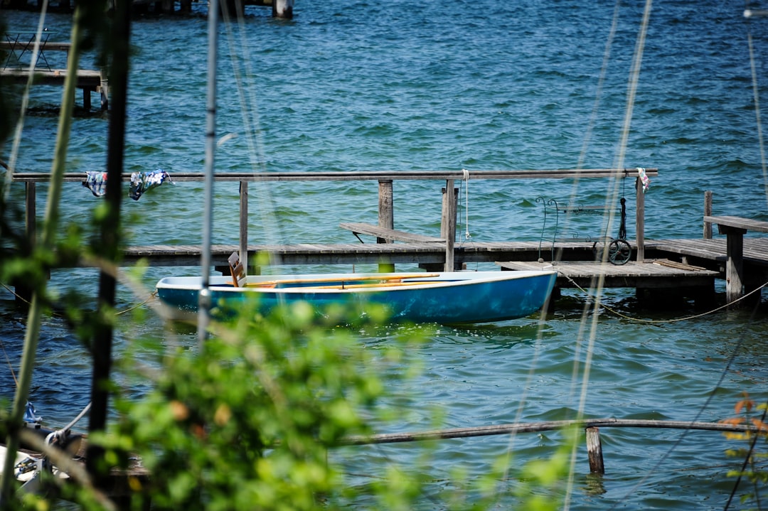 Learn Proven Fishing Techniques with Online Courses