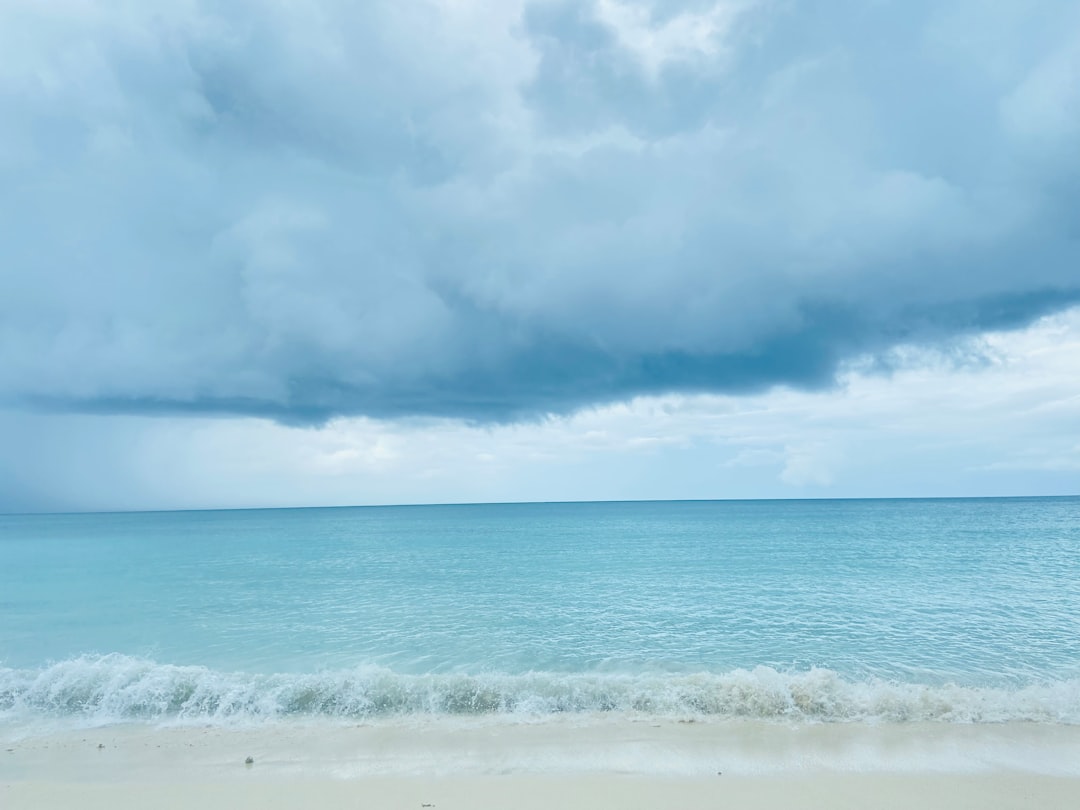 Learn About Paradise Islands Online: A Beginner's Guide