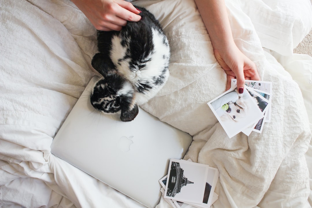 Learn Everything About Rabbits Online: Complete Guide