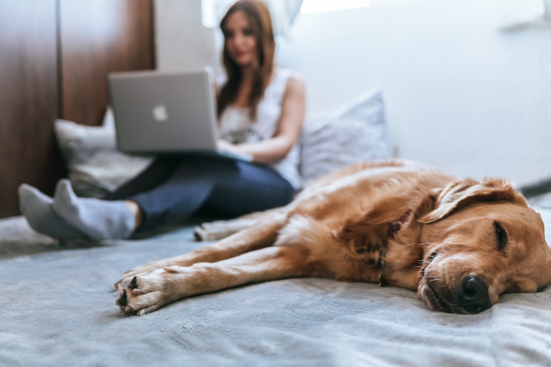 Learn Everything About Online Dog Training: Complete Guide