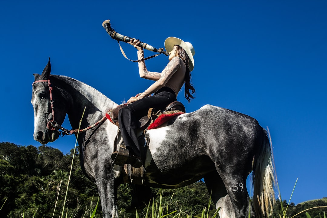 Learn How to Train and Care for Horses Online